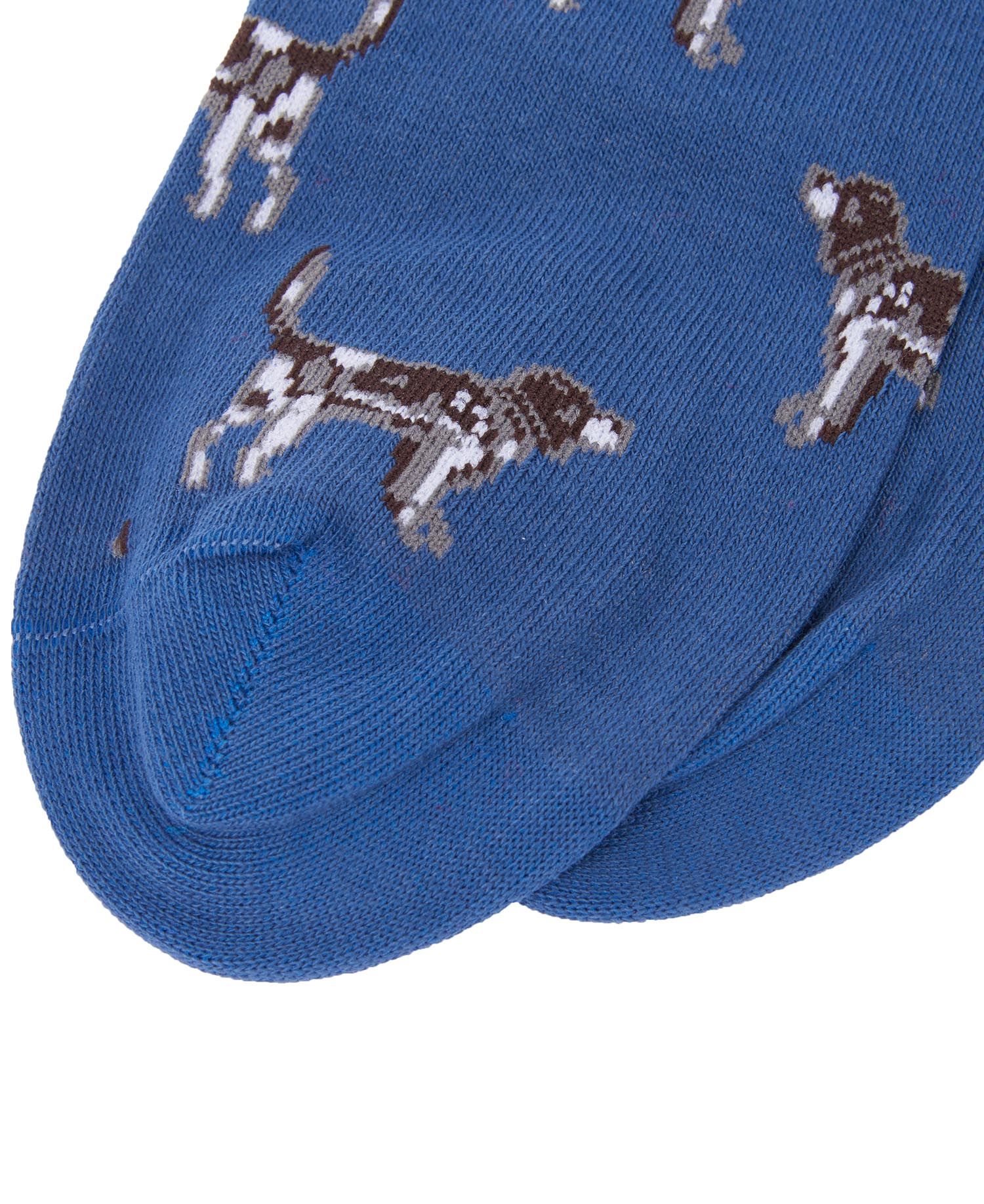 Barbour Pointer Men's Socks Blue | 645903-XYO